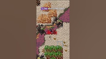 Tibia Time Boosted Series: Ogre Shaman! #tibia #gaming #shorts
