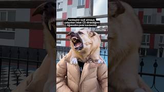 Utanmasi Gerekiyodu Oynamaya Basladi Anksiyete Ondan Korkuo.ahajahjw Resimi