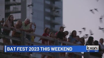 Bat Fest Back in Austin