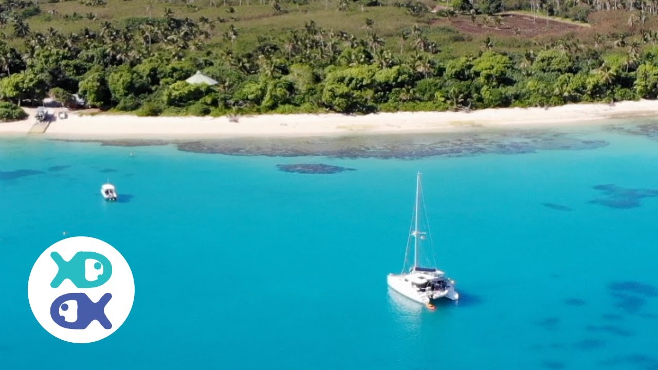 Diving Remote Reefs And Going Bananas EP.18|| Sailing the South Pacific || Tonga