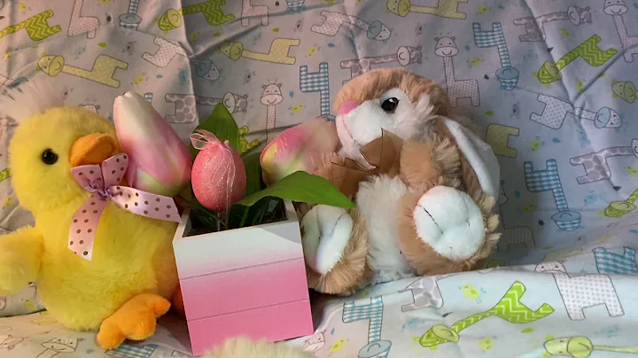 Video 1134181: love cattery, home cattery, born baby kitten, face kitten