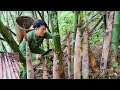 The life of a wild man looking for food in the jungle  ชายป่า ชอกหาของกีนตามทำมะชาด part 22