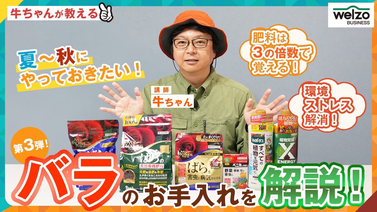 【第3弾】夏～秋にやっておきたい！バラのお手入れを解説！