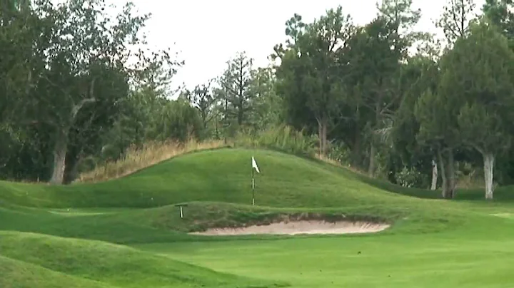 Ultimate Golf Trick Shot by Camron Howell (Tiger W...