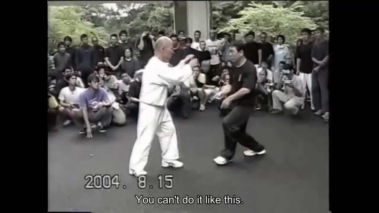 Taikiken, a branch of the Chinese martial art known as Yiquan, popularized in Japan by Kenichi Sawai