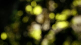 UE4 photographic Bokeh effect. @FabriceBourrelly