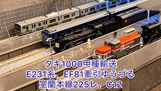【Nゲージ】DE10牽引タキ1000甲種輸送、E231系、EF81牽引24系ゆうづる、c57-135牽引室蘭本線225レ、C12