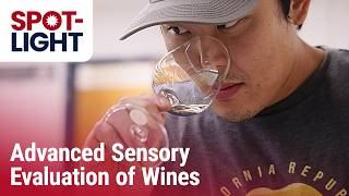 Taking this class might be a pour decision | Enology 105