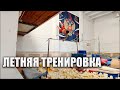 Летние тренировки/Изучение Элементов