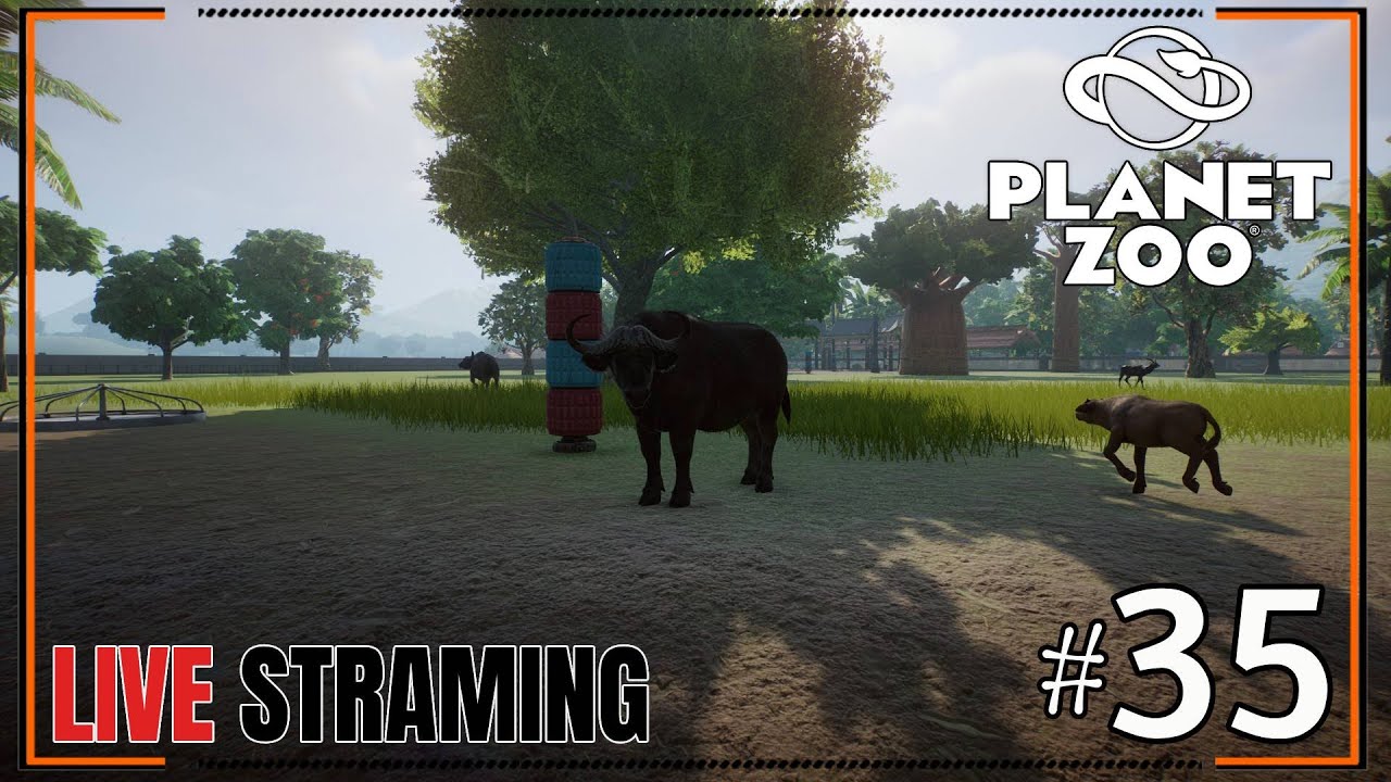 Live - Planet Zoo l เปิดทำการโซนซาฟารี #35 - YouTube