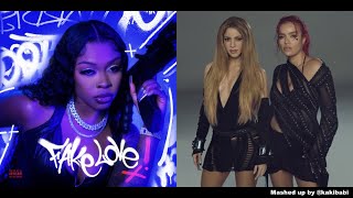 [MASHUP] Tink - Fake Love / KAROL G, Shakira - TQG