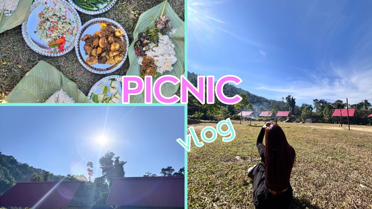 Picnic mini vlog 