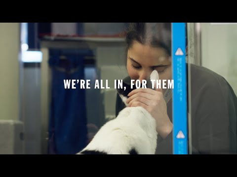 Battersea Academy | We're all in, for them