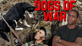 Operation Fur Missile - America’s War Dog Program