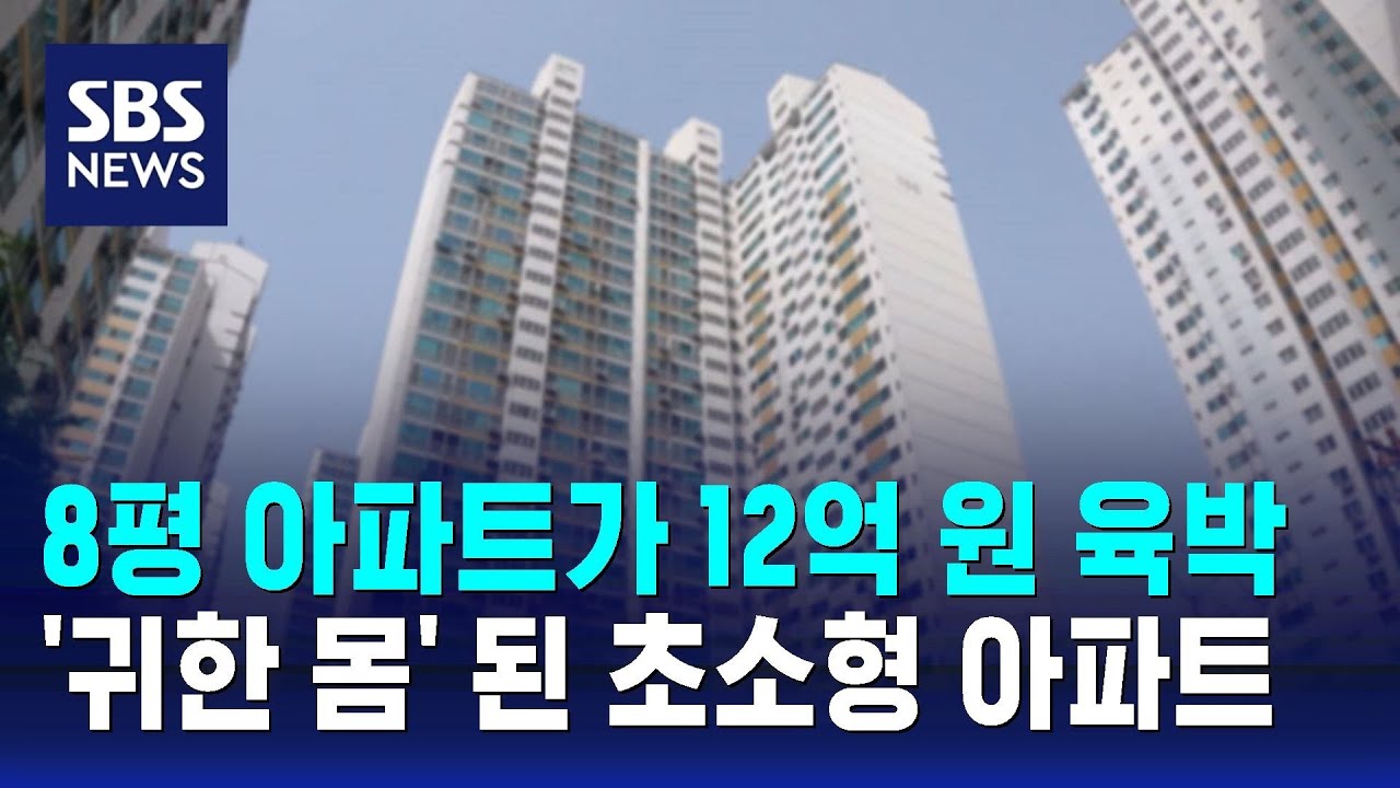 8평 아파트가 12억 원 육박…'귀한 몸' 된 초소형 아파트 / SBS