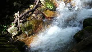 Waterfall Video #youtubevideo #youtubevideos #video