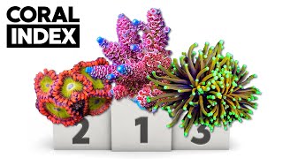 Top 13 Corals @ TSA!! | Coral Index #1 | Trending to Classic Corals