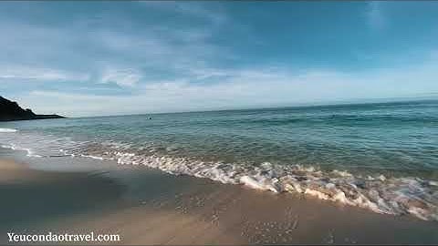 Thả rùa con về với đại dương!!! #Tourthảrùa #HònCau #HònBảyCạnh Yeucondaotravel.com