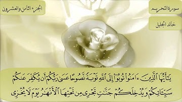 سورة التحريم بصوت الشيخ خالد الجليل