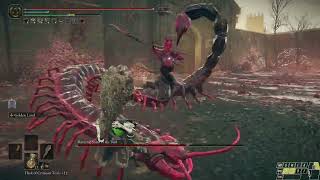 Elden Ring Shadow Of The Erdtree Great Club Pepe Vs Romina, Saint Of The Bud