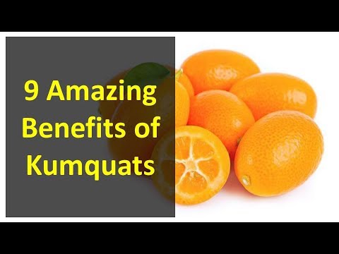 Video: Kumquat. Použití A Výhody