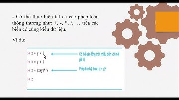 Biến và lệnh gán bài 17 tin học 10 lập trình python - kết nối tri thức