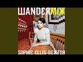 Miniature de la vidéo de la chanson Wandermix (Continuous Mix)
