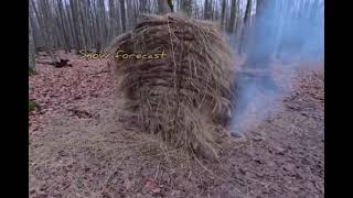 Deep in the forest, under a stump, a warm and cozy dugout is hidden, which has become a wonderful 