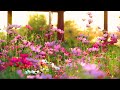 Sounds From An English Country Garden 2 Hrs Of Summer Sounds Birds Singing And Chirping