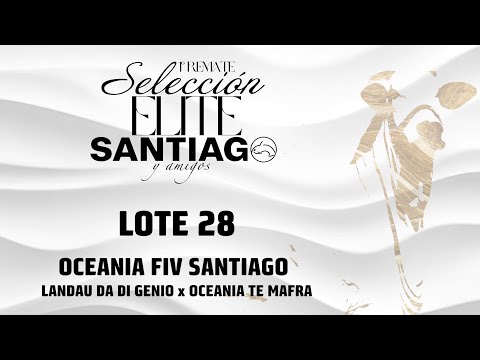 Lote 28   Oceania FIV Santiago