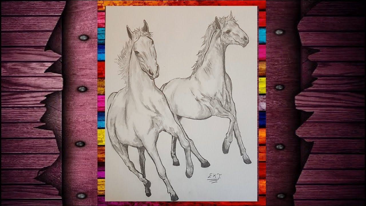 EKT - Karakalem At Çizimi - Karakalem Çizimi