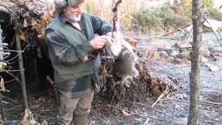 Skinning a Raccoon with Rope,Modern Trapping Part 32