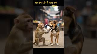 songs music comedy #music #song #bhojpurisong #cricket #viral #viralvideo #trending #bhojpurisong