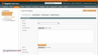 Magento - Managing Categories - Structure, Planning and Best Practices Tutorial (Part 1 of 3)