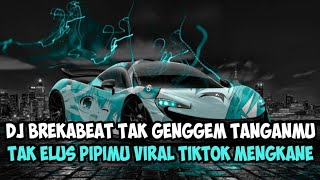 Dj Brekabeat Tulus - Tak Genggem Tanganmu Tak Elus Pipimu Viral Tiktok Mengkane