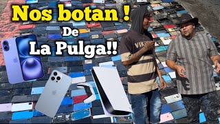They kicked us out of La Pulga for this! | What happened is incredible.