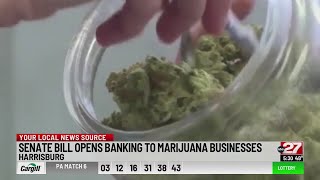 State Senate bill would allow marijuana businesses to access banking services