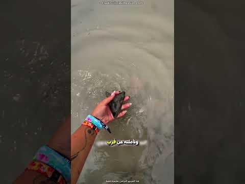 وجدت هذه الفتاة شيء نادر على الشاطئ