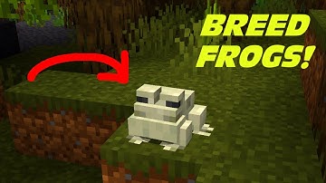 MINECRAFT | How to Breed FROGS!