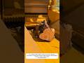 log crusher machine#shortvideos #machinetechnology