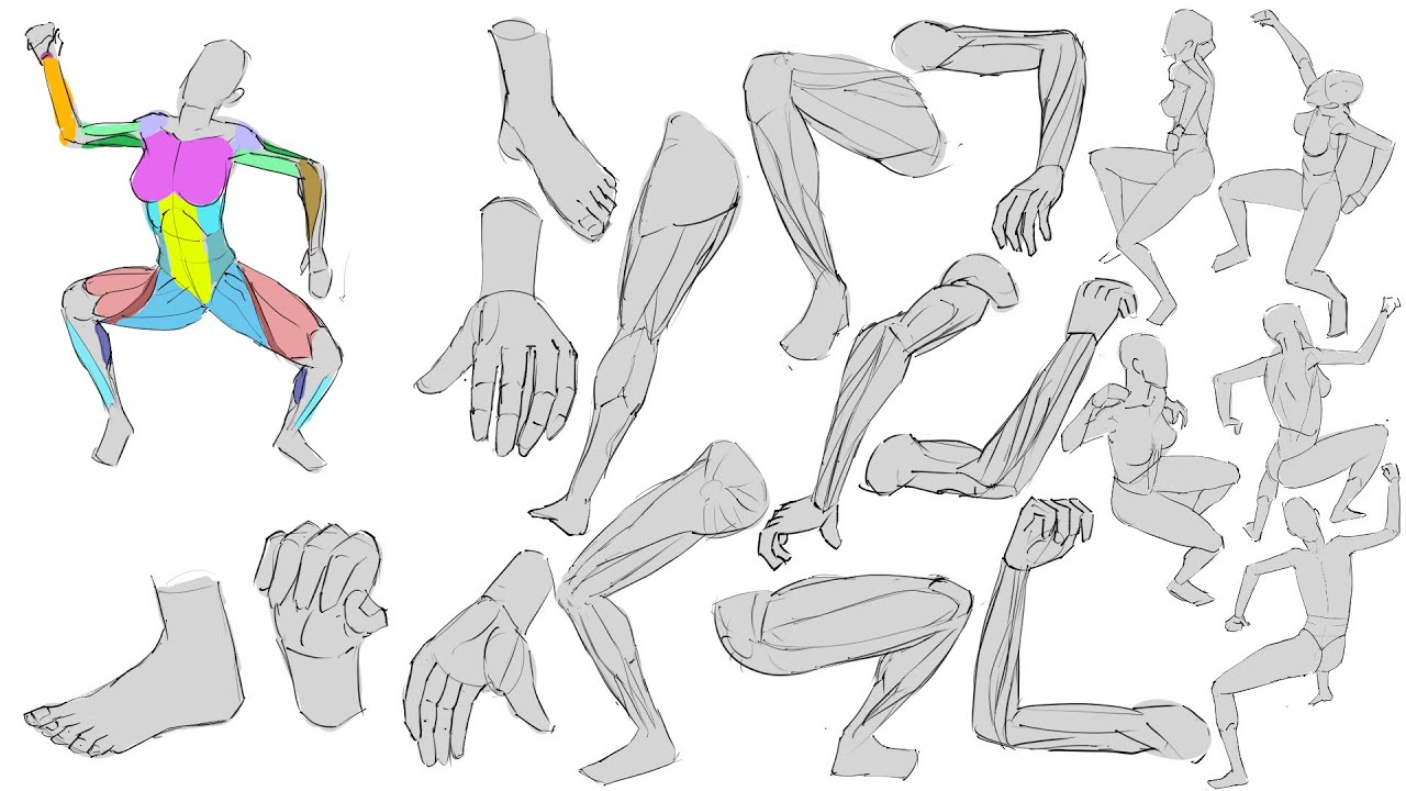Daily Drawing Practice - YouTube