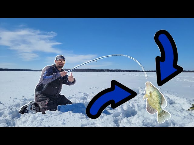 I Took a 7 Foot Rod Out Ice Fishing for Big Crappies!! 