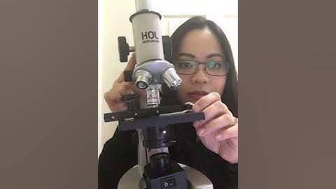 Bio 225 week 3 microscopy for microbiology