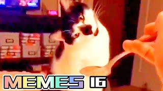 FUNNY MEMES COMPILATION V16