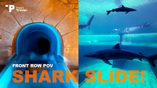 POV: Shark Tube Slide in Atlantis, Bahamas! (No People)