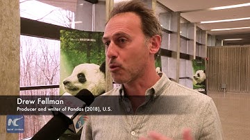 IMAX film Pandas screens in Toronto