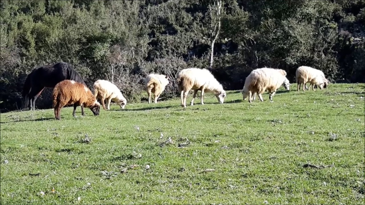 Rezultate imazhesh pÃ«r foto fshati bolene
