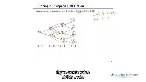 intro05 option pricing in the multi period binomial model concatenated