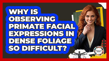 Why Is Observing Primate Facial Expressions In Dense Foliage So Difficult? - Anthropology Insights