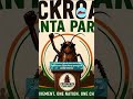 LIVE UPDTATE : Police grant permission for Cockroach Janta Party protest at Jantar Mantar